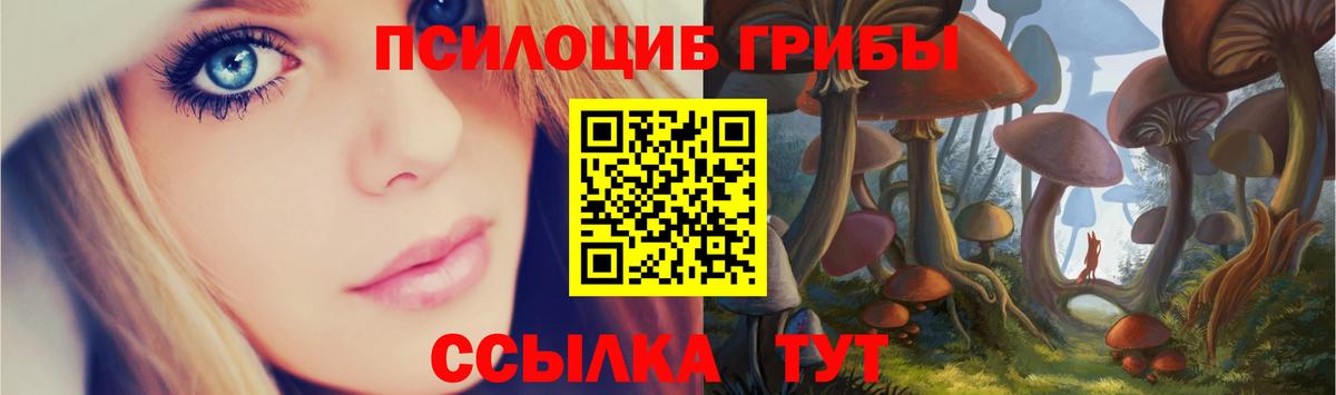 Псилоцибиновые грибы Psilocybe  где можно купить наркотик  Кемерово  Вход с VPN 